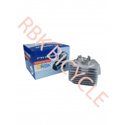 RBK-S0204 MOB. 100 CC SİLİNDİR AİRSAL MODEL Çift Segman
