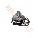RBK-0019 SCT 125 KARBÜRATÖR SPEED
