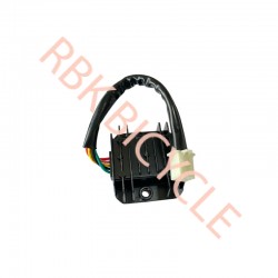 RBK-0324-R CG KONJEKTÖR ERKEK FİŞLİ RBK
