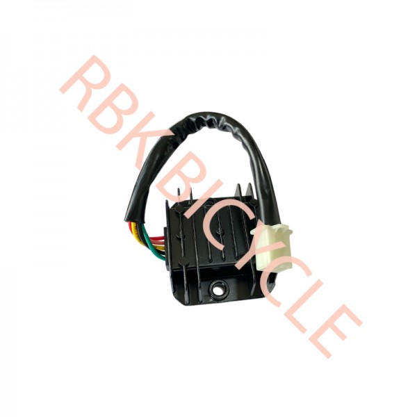 RBK-0324-R CG KONJEKTÖR ERKEK FİŞLİ RBK