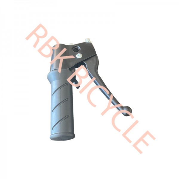 RBK-0690 GAZ KOLU KOMPLE 