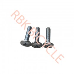 RBK-9942 M6*25 KAPORTA VİDASI 