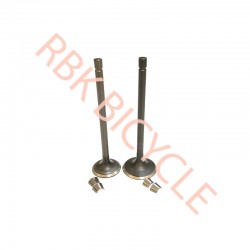 RBK-S0601 CG 150 SUBAP EGZOST+EMME TIRNAKLI DQ