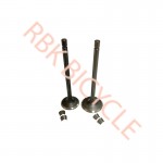 RBK-S0602 CG 200 SUBAP EGZOST+EMME TIRNAKLI DQ