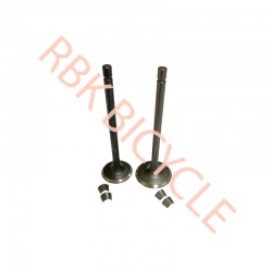 RBK-S0602 CG 200 SUBAP EGZOST+EMME TIRNAKLI DQ