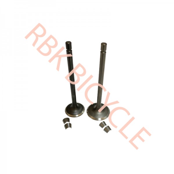RBK-S0602 CG 200 SUBAP EGZOST+EMME TIRNAKLI DQ