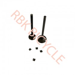 RBK-S0670 HONDA DİO SUBAP EGZOST+EMME TIRNAKLI DQ