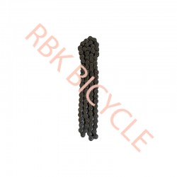 RBK-Z0500 EKSANTİRİK ZİNCİR 25H*84L 